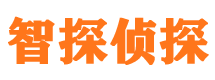 桂阳市侦探公司